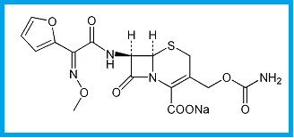CEFUROXIME SODIUM